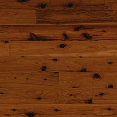 Wood Flooring International World Woods Collection at Discount Floooring